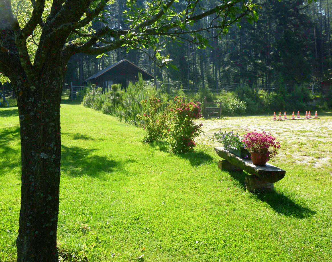OFFENSTALL/VIERECK SOMMER