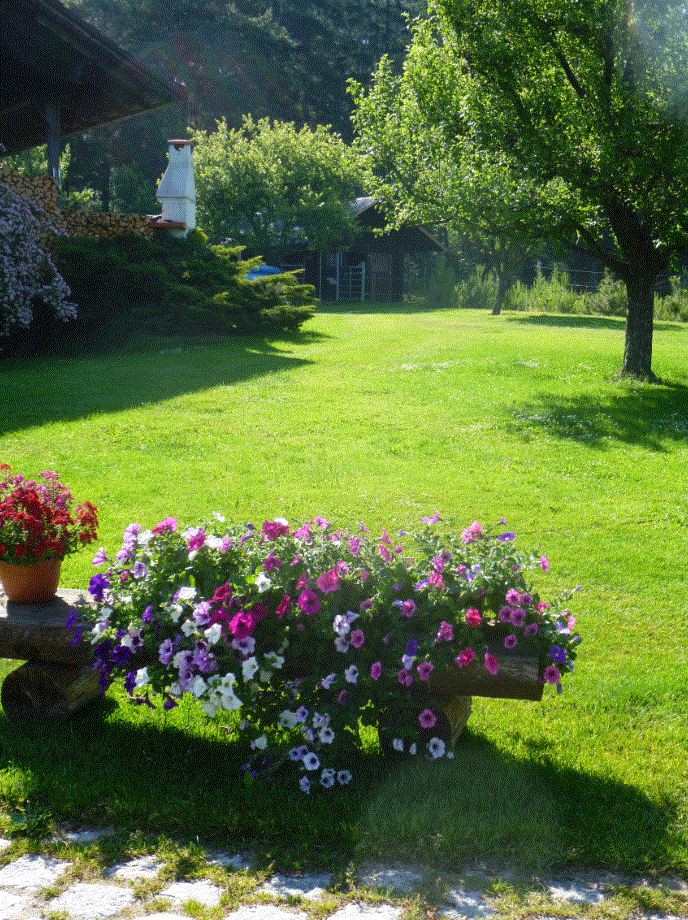 ANLAGE SOMMER BLUMENMEER