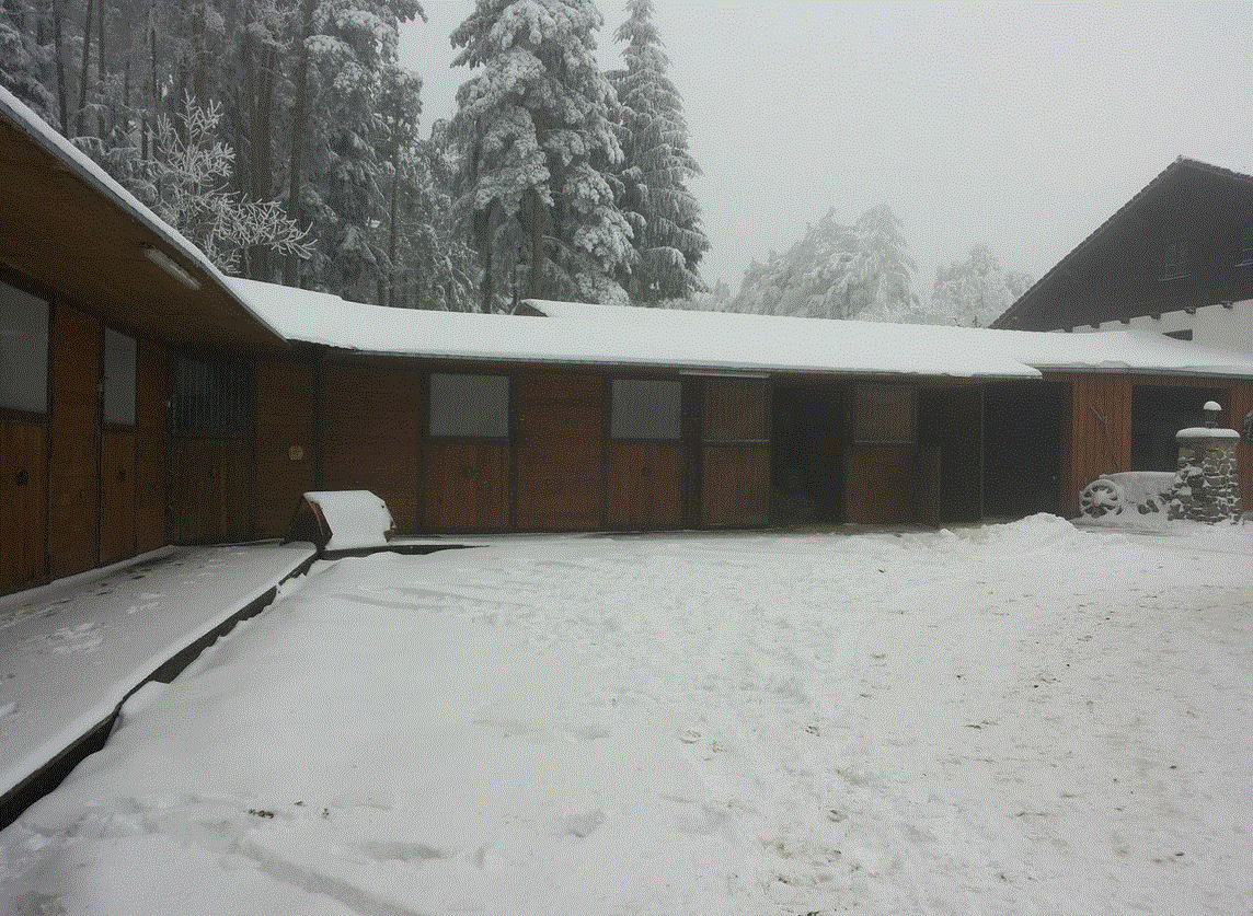 Außenboxen - Winter