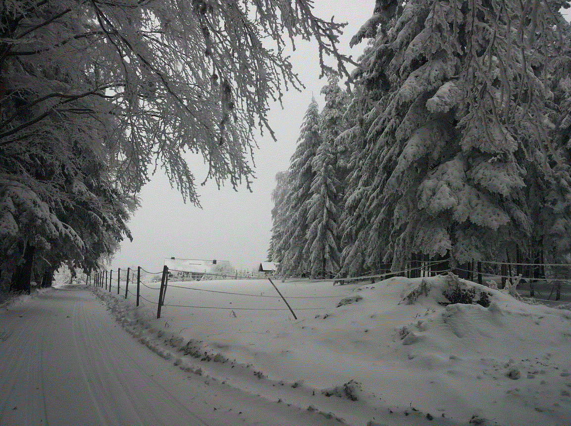 Weide - Offenstall
