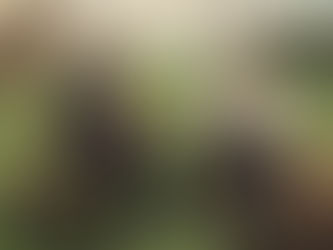 Bloggpost 4 av 9: Strategier för att ta kontakt med potentiella arbetsgivare