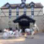 1 horse and vis-a-vis