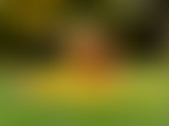 #00 Kundalini-Aktivierung –     warum ich darüber schreibe