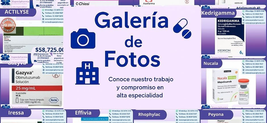 galeria de fotos