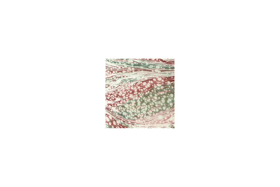 Thumbnail: Recipe Book