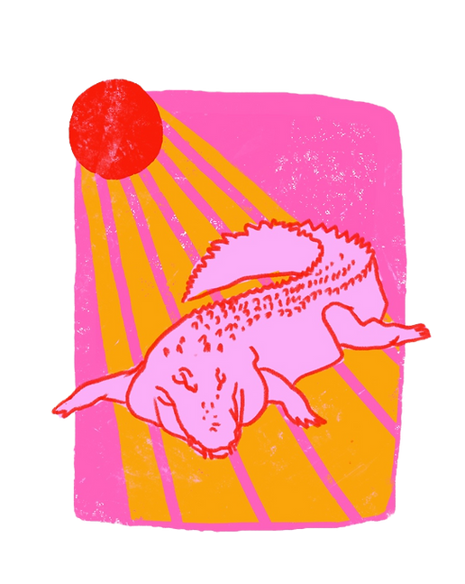 alligator sun