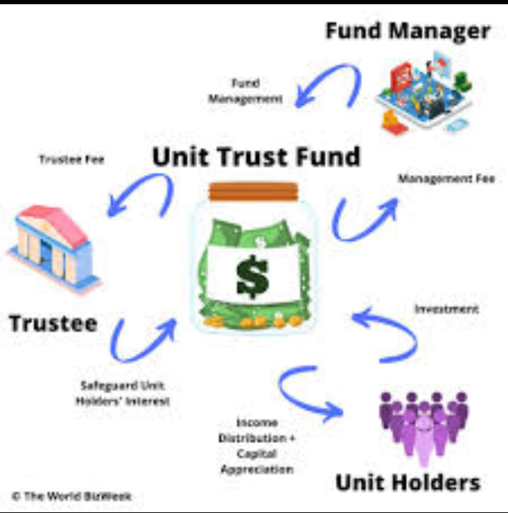 Startup- Capital Value & Growth Fund Beneficiation