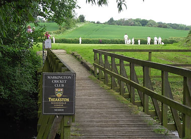 CRICKET PITCH1 (2).JPG