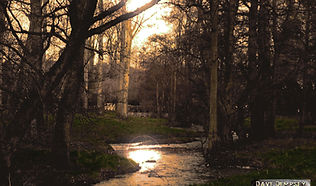 BARROWS REFLECTION.jpg