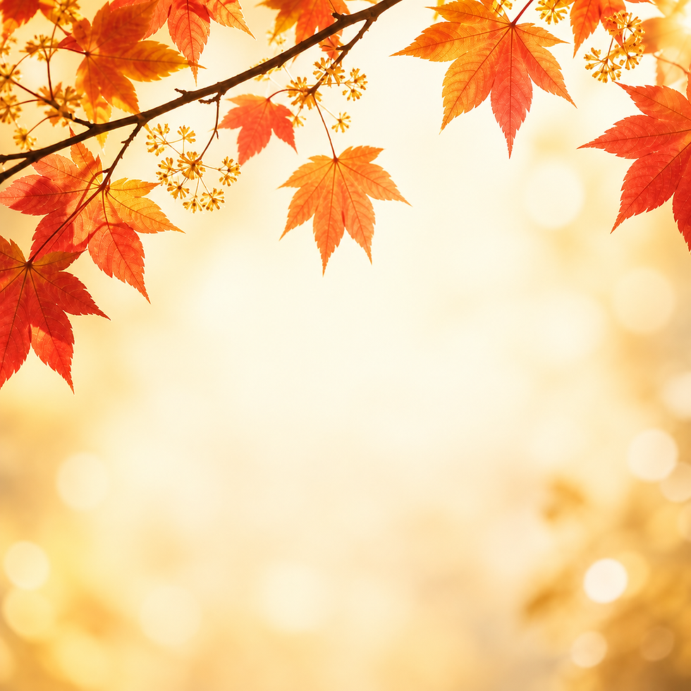 f31cb820-6f3f-4cc4-92d4-b8750eef843a.png