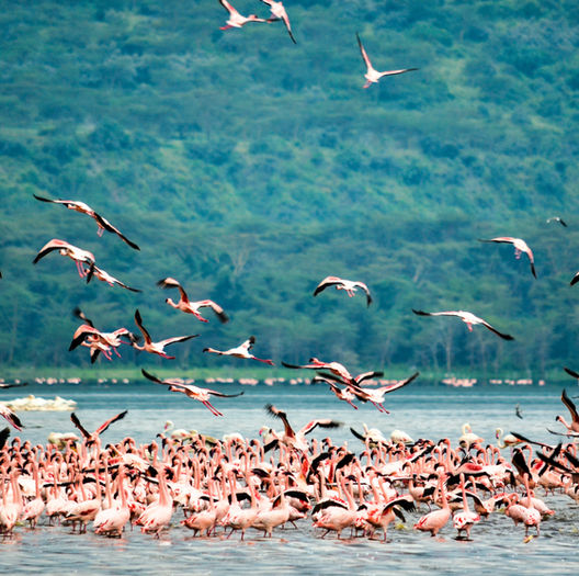 Tanzania