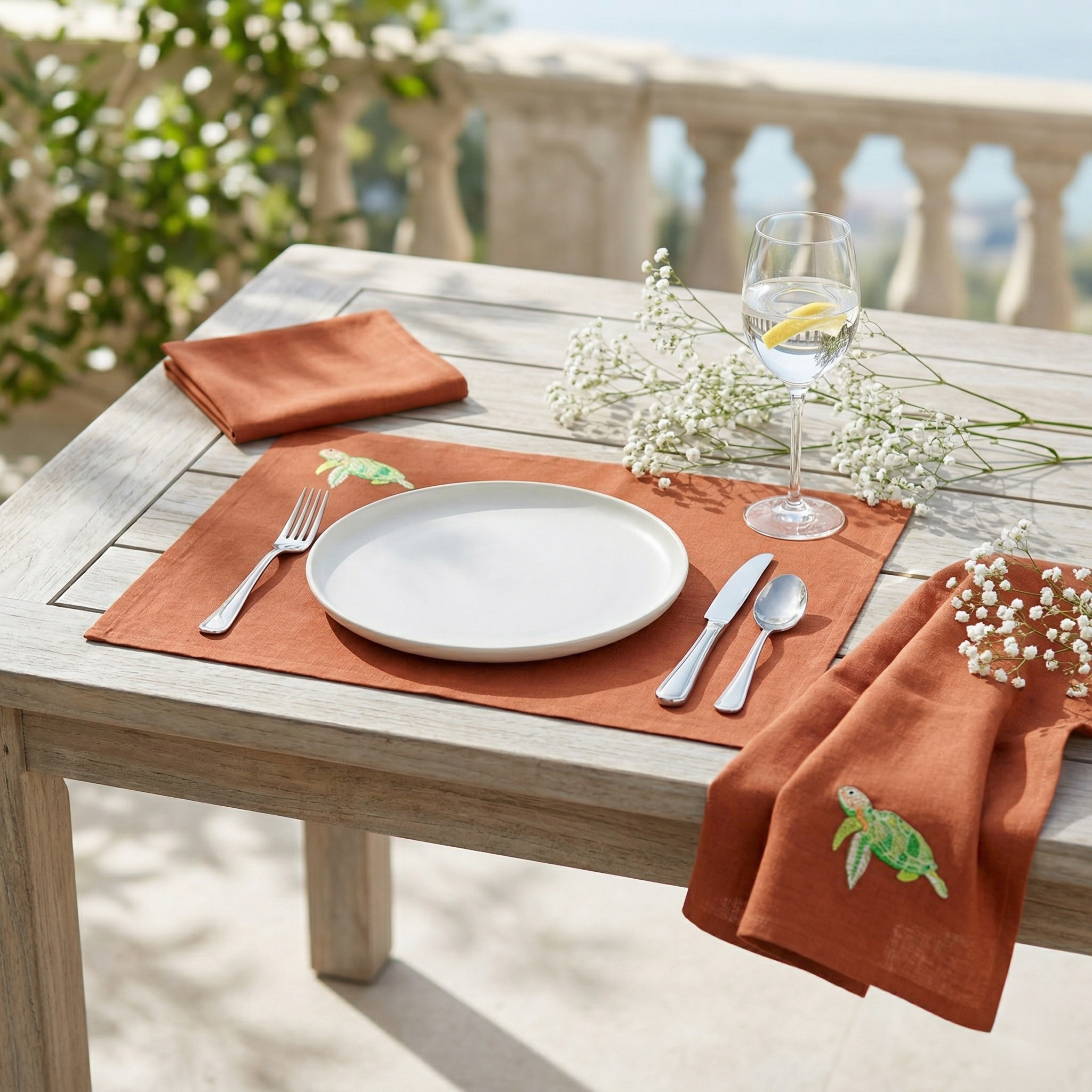 Turtle Design Brown Color Placemat and Napkin Set