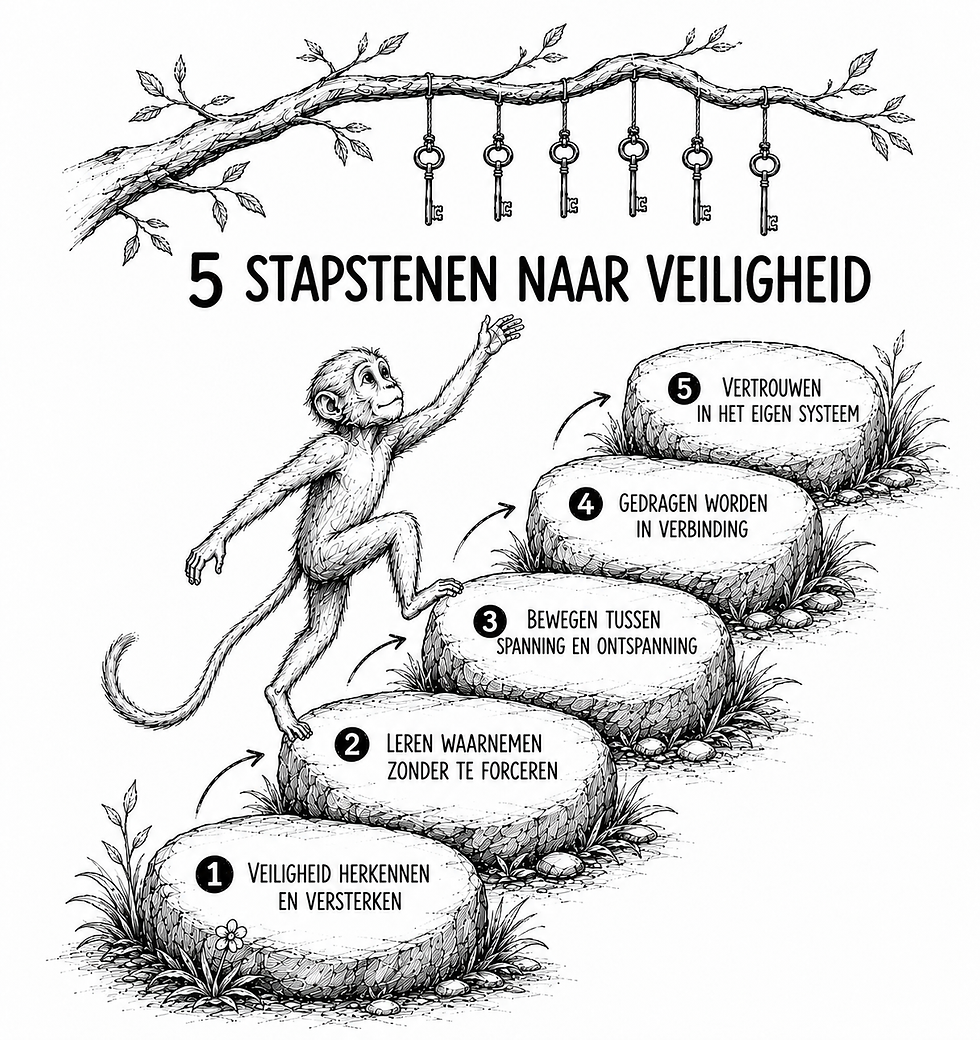 5 stapstenen naar veiligheid