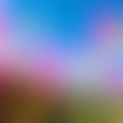 Lets reinvent  COLORS,  THIS HOLI 