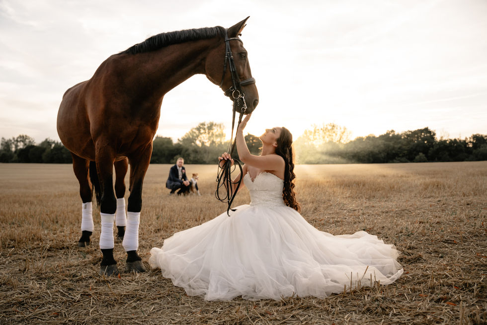 Braut mit weissem Kleid sitzt auf dem Feld und streichelt ihr stehendes Pferd. Im Hintergrund sitzt ihr Mann mit ihrem Hund auf dem Boden.