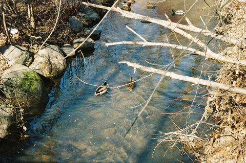 Film Photography