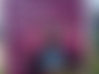 Making Waves at the Ocean Swim