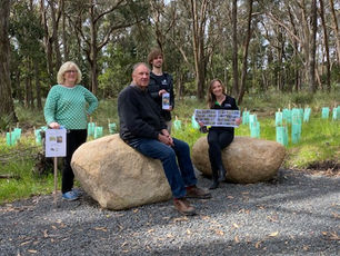 Ever Wondered About Wildflowers?