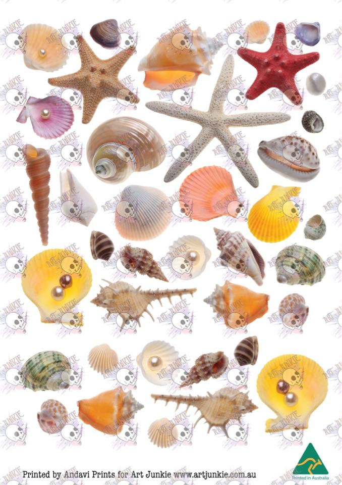 Thumbnail: Sea shell ocean beach sea life stickers slide transfer embed in resin