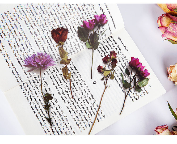 Rose dried flowers floral fairy  leaves plant clear stickers slide transfer embed in resin