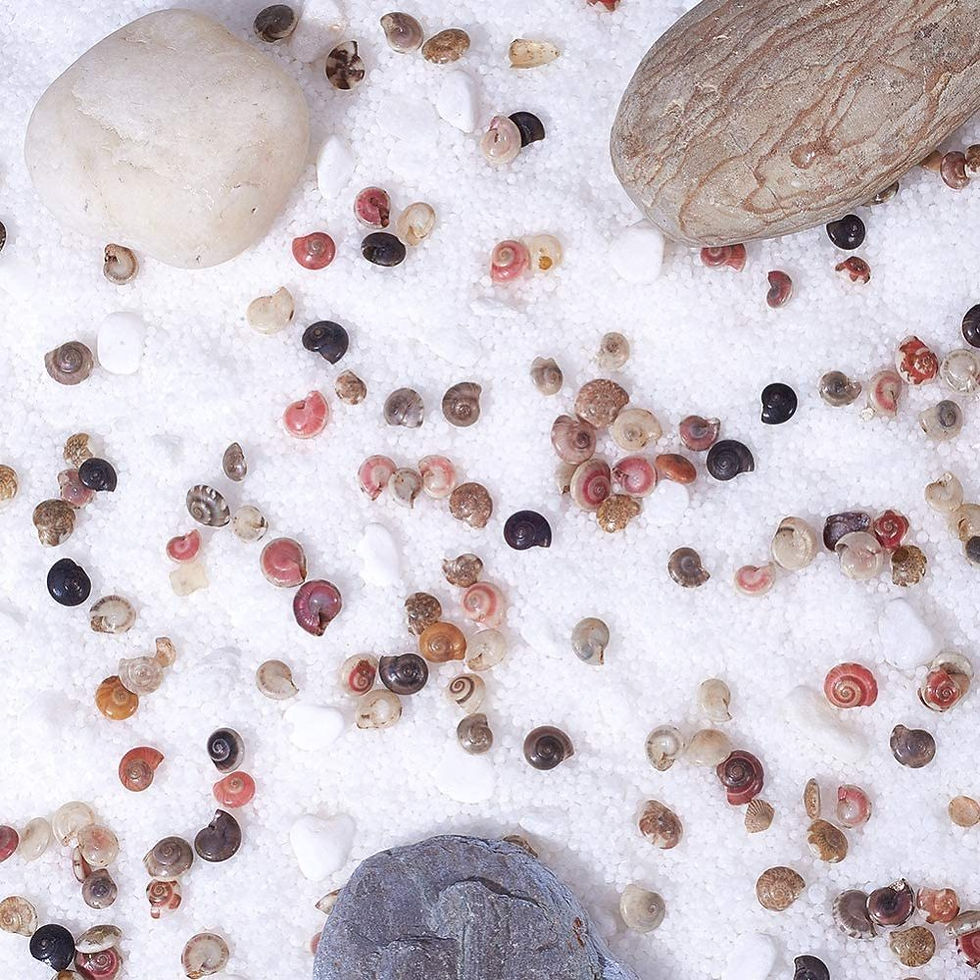 Thumbnail: Natural small mini Sea shells MOP Shell Australia Nuggets epoxy resin craft art beach ocean shells