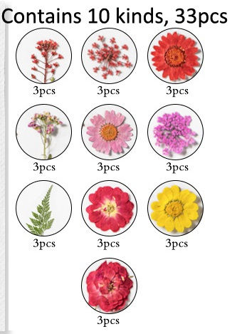 Mixed colour pink yellow purple white Dried pressed flowers floral craft art wedding flower resin flowers dry