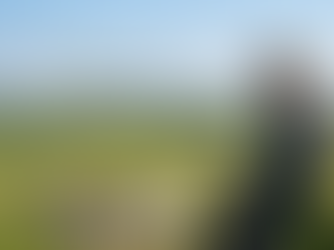 עדכון חשוב למטיסי טיסנים: הנחיות הטסה בזמן מלחמת ״שאגת הארי״ ⚠️