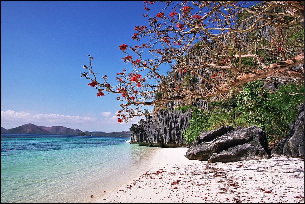 Coron Beach