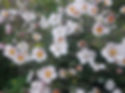 20210821_171411.jpg
