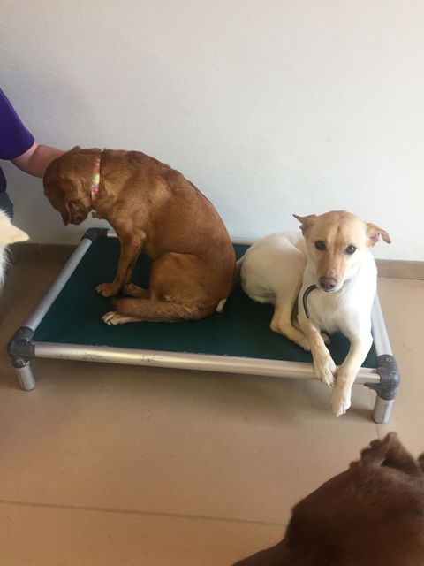 bb04b150-635f-11e8-b6c7-314a24bedc51-IMG-2343.jfif