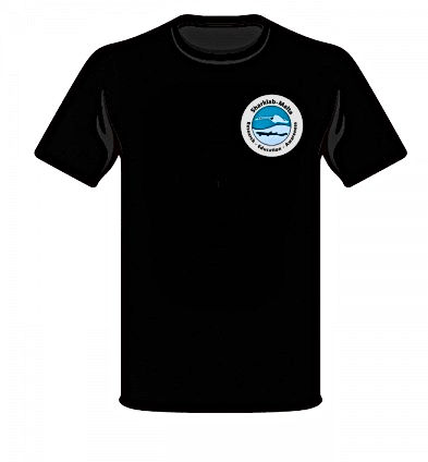 Fly-with-Bull-Rays-Teeshirt-image-768x432_edited.jpg