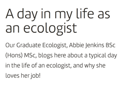A day in the life of an ecologist