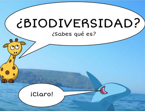 spanish - 5_edited.jpg