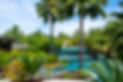 Bora bora-honeymoon.jpg