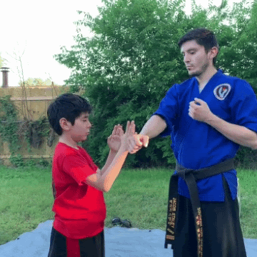 Parry Drill 2.gif