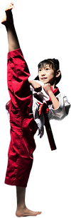 Karate Girl Kick_pp-2.png