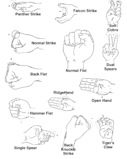 strike-diagram.gif