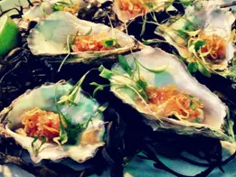 Saucey Sauce Oysters