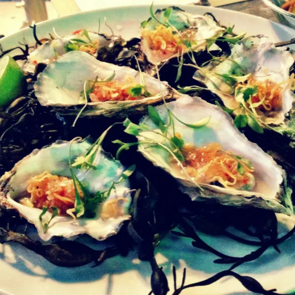 Saucey Sauce Oysters