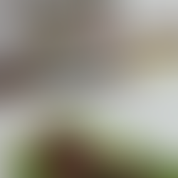 Mahi-Mahi Fish Tacos Recipe