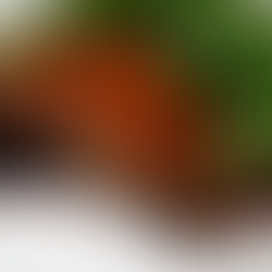 Ginger Glazed Salmon