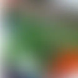 Saucey Zucchini Noodle Bowl – BÚN CHÀ