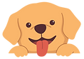 Dog.png