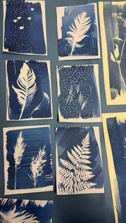 Workshop blauwdrukken cyanotype Arnhem Velp Rheden Dieren Zutphen