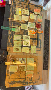 Workshop blauwdrukken cyanotype Arnhem Velp Rheden Dieren Zutphen
