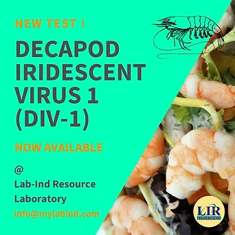 Lab Ind Resource Sdn Bhd Laboratory Testing Malaysia