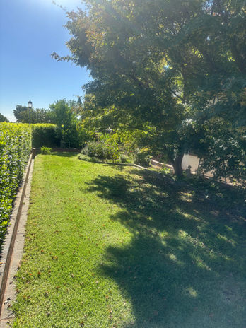 Front Yard