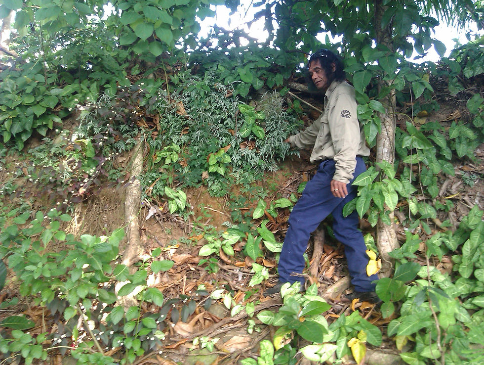 Survey and Monitoring