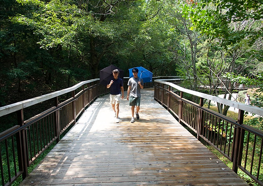 Walking in Park, Japan