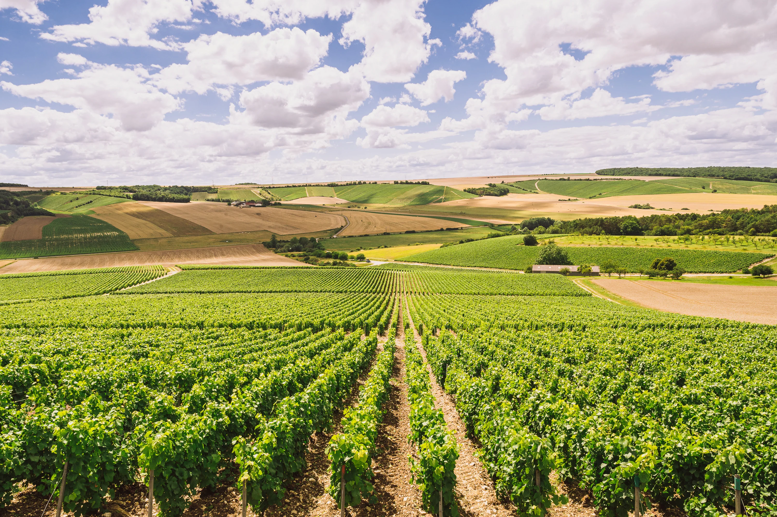 Domaine_Eulalie.webp